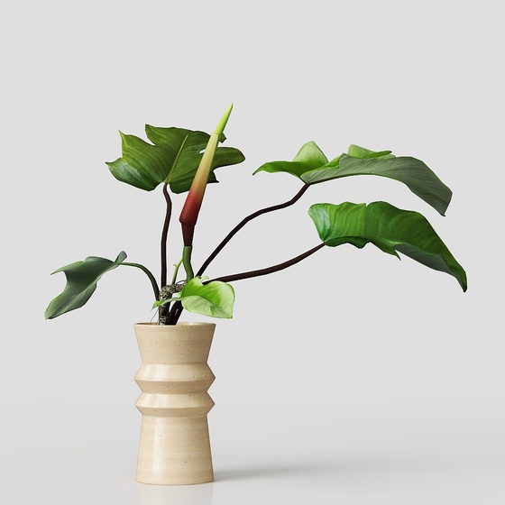 Green plant vase decoration