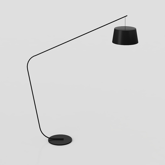 Modern Chinese style living room black floor fishing light