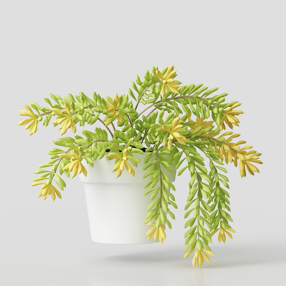 绿植小盆栽3D模型