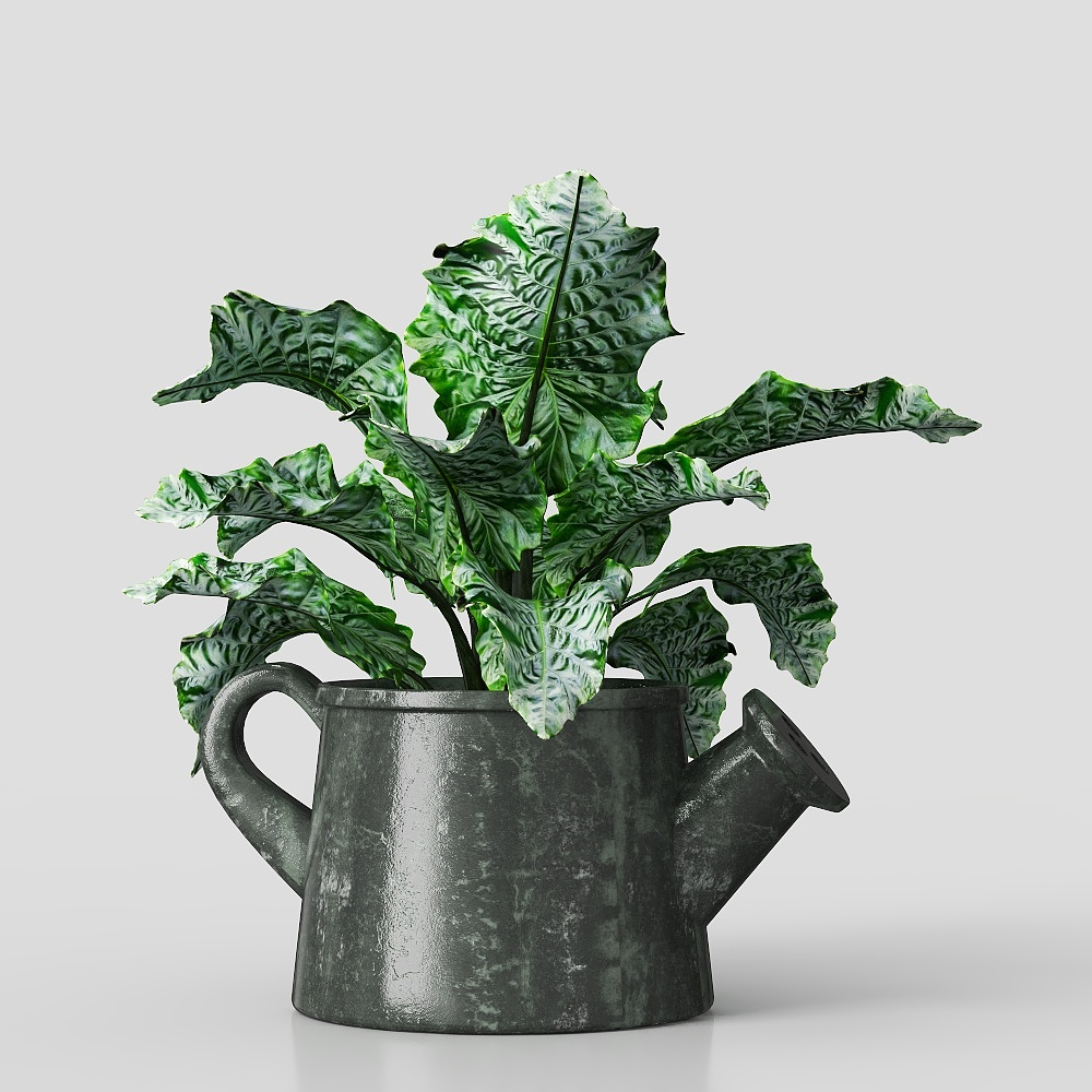 盆栽绿植3D模型