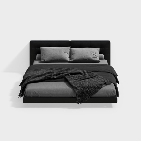 Modern Minimalist Black Double Bed
