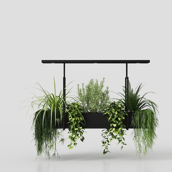 Modern balcony hanging basket with green plants