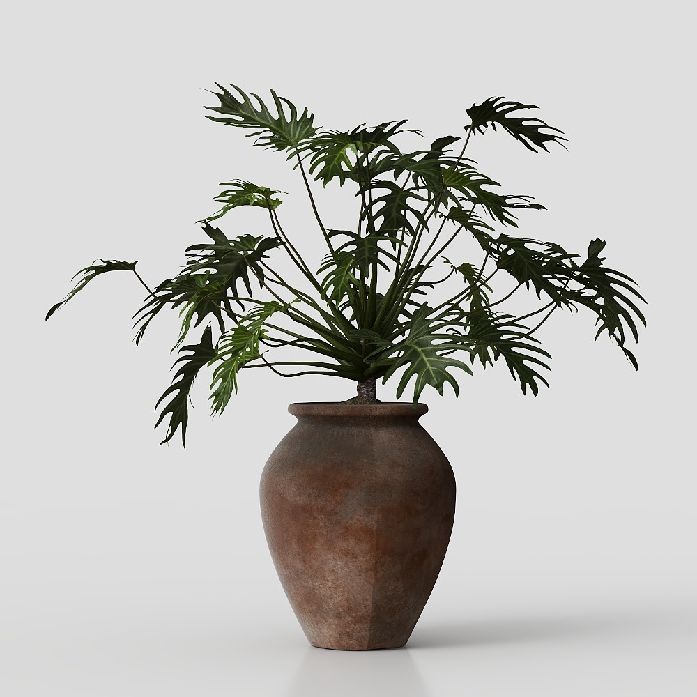 客厅绿植盆栽