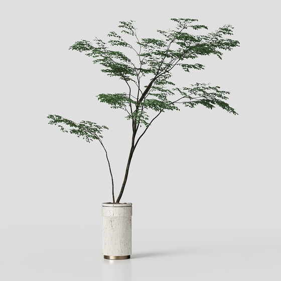 Simple living room vase green plant
