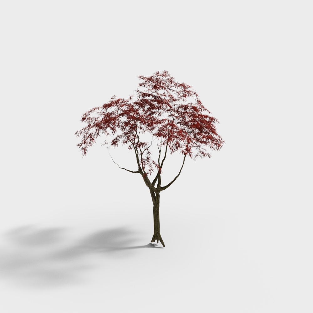 中式园林枫树景观3D模型