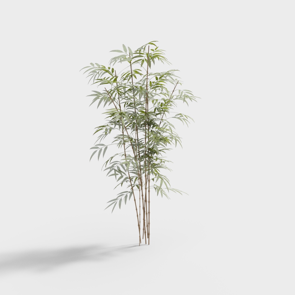 新中式园林竹子景观