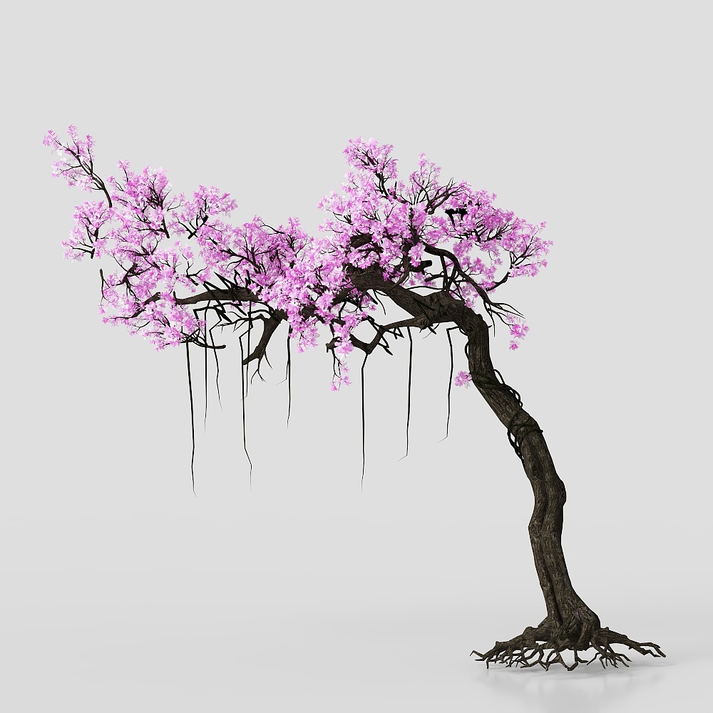 现代园林樱花树