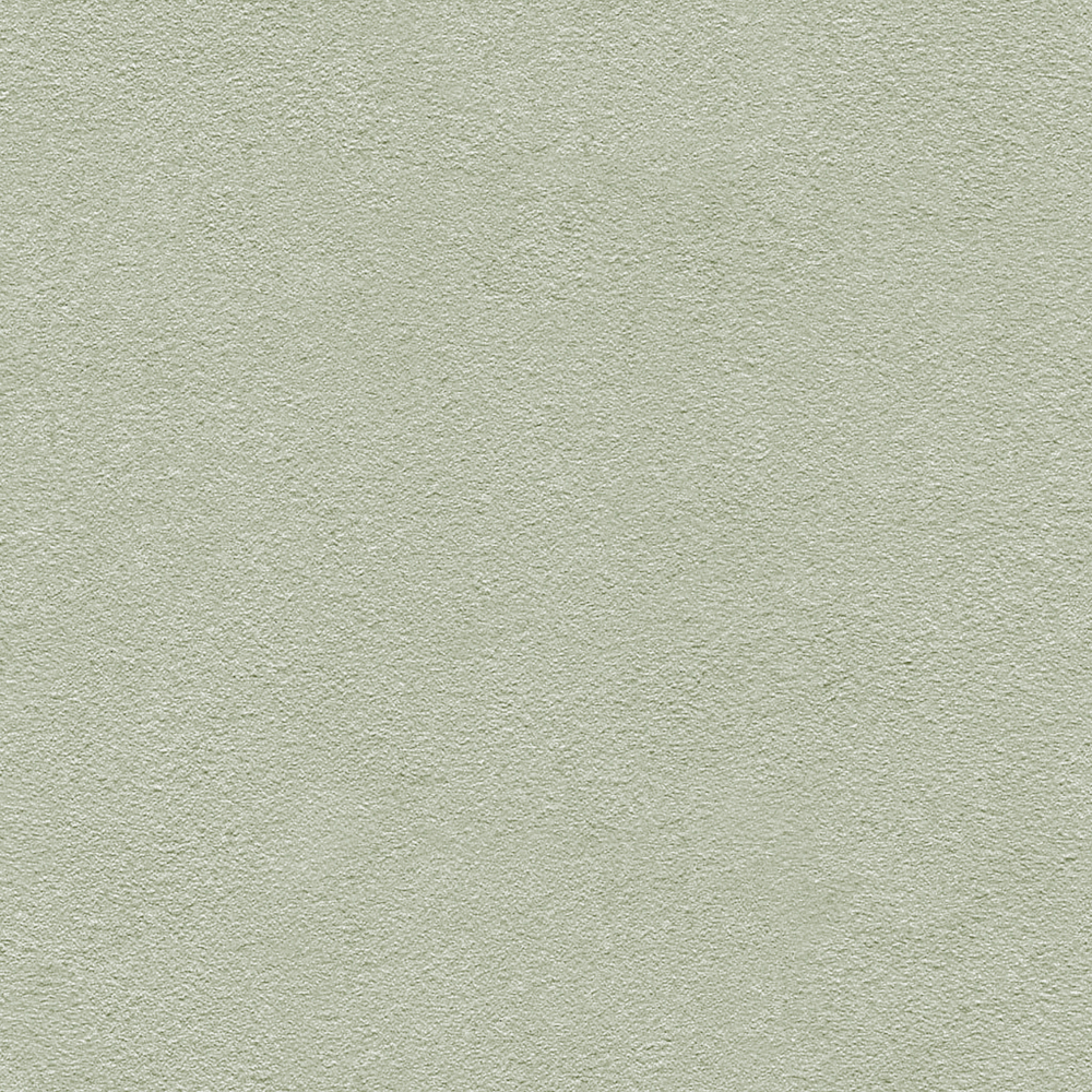 浅绿色真石漆-涂料-1000*10003D模型