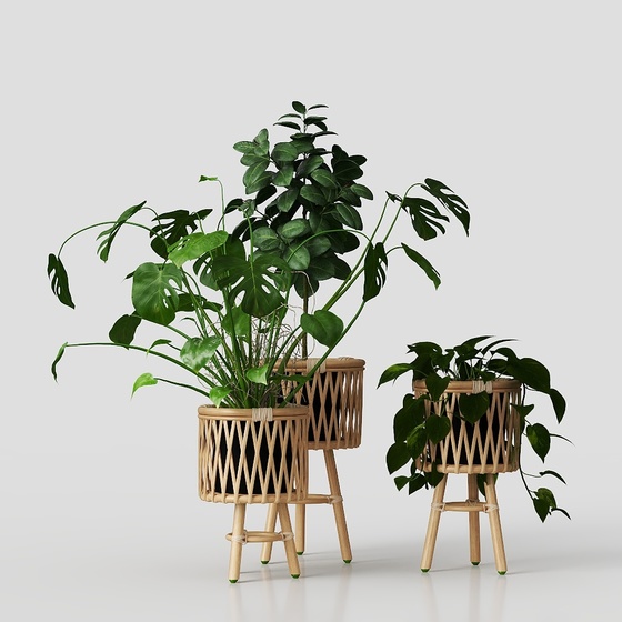 Modern balcony potted plants