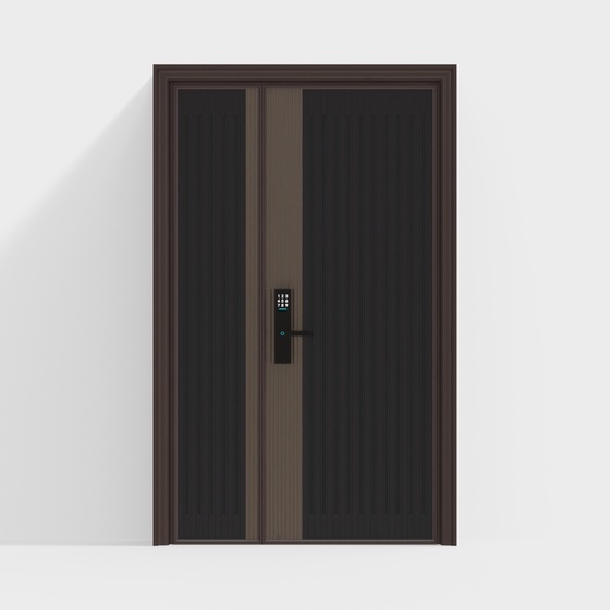 Modern residential entrance door