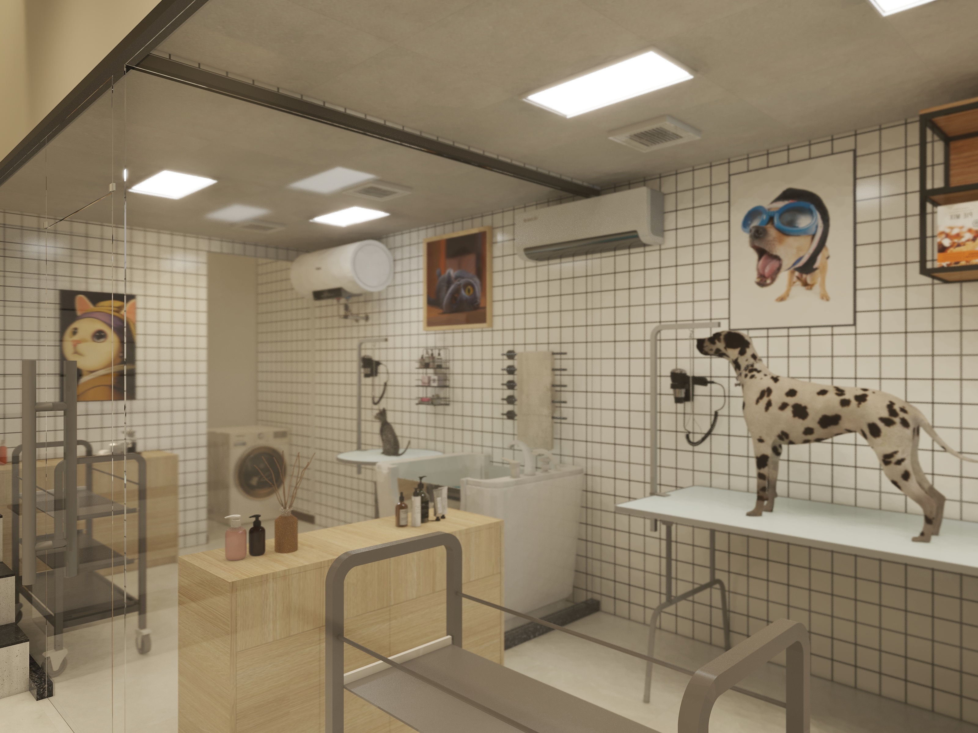 设计师朱星星-宠悦宠物-装修设计方案