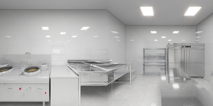 骆晓强-利辛鱼火锅-装修设计方案