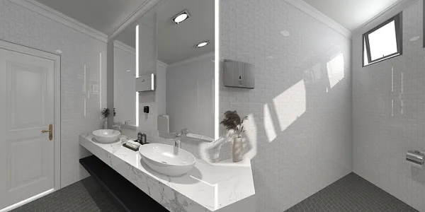 Vip Toilet Concept
