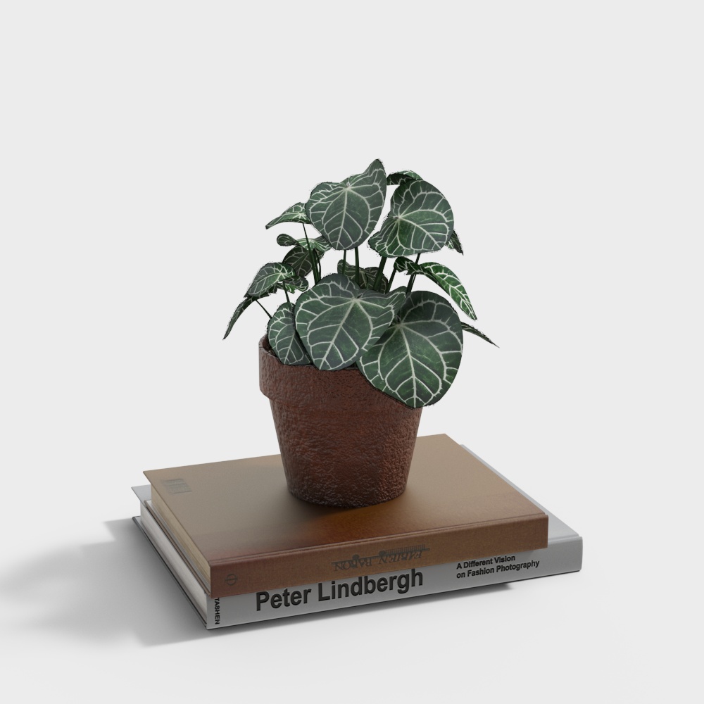 绿植书籍摆件3D模型