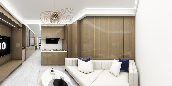 dtzlsj-公寓-装修设计方案