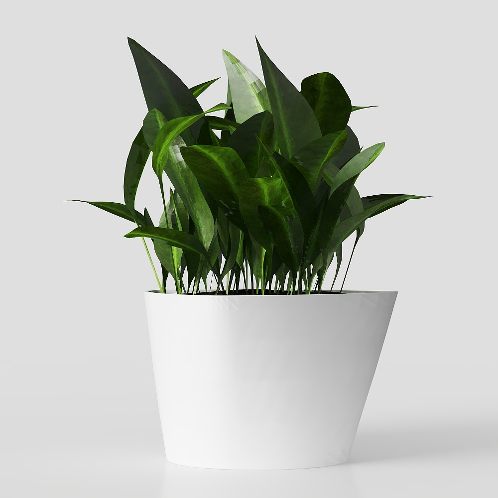 绿植摆件