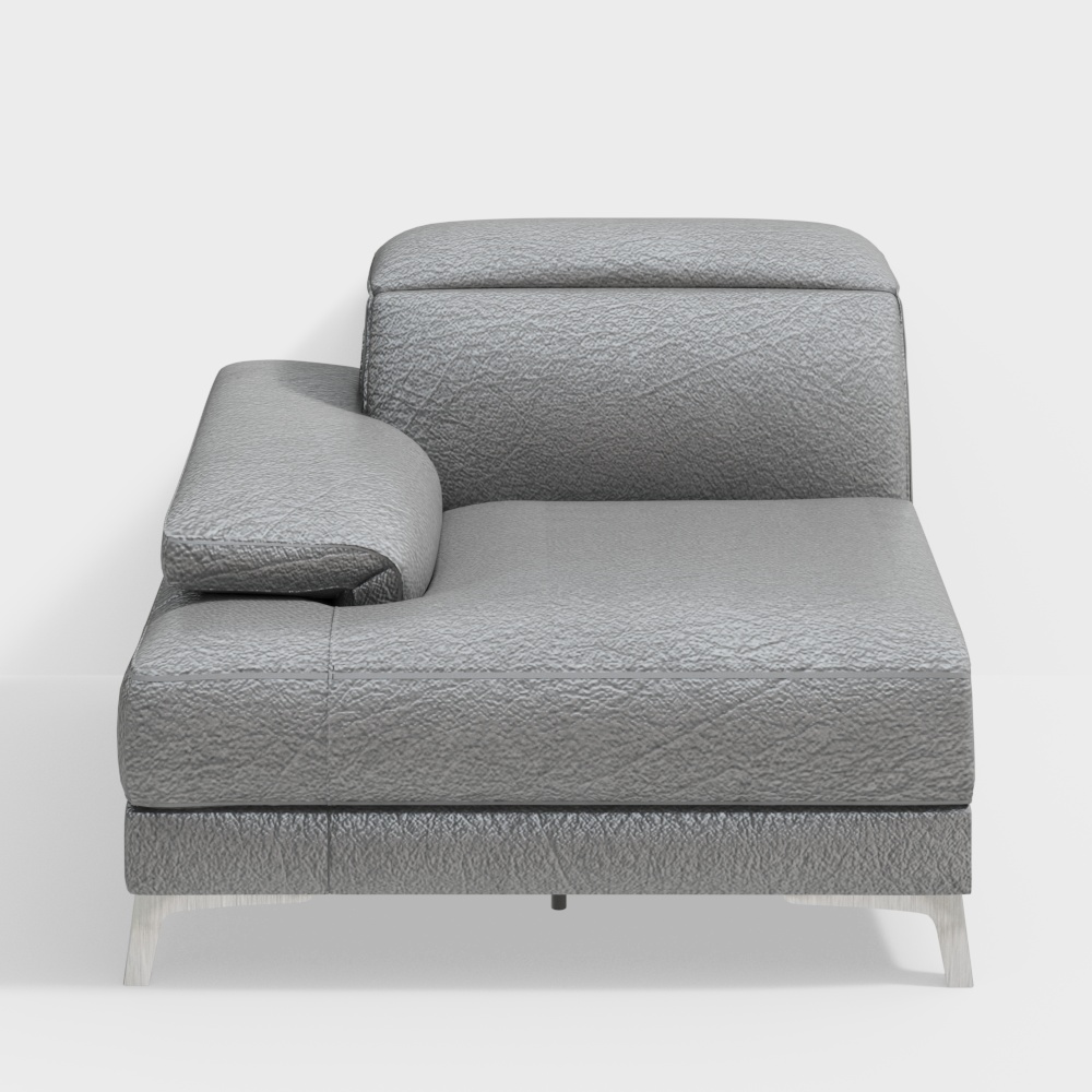 NATUZZI C054 Speranza Grey leather chair 3D模型