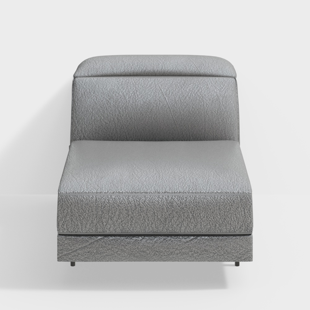 NATUZZI C054 Speranza Grey leather armless sofa 3D模型