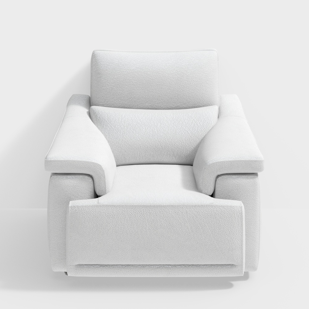 NATUZZI C070 Brama Single sofa in white leather 3D模型