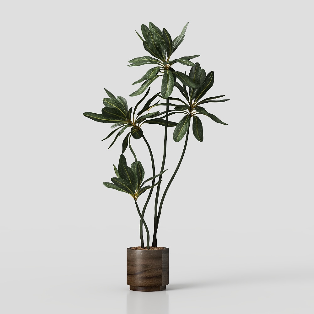 绿植盆栽3D模型