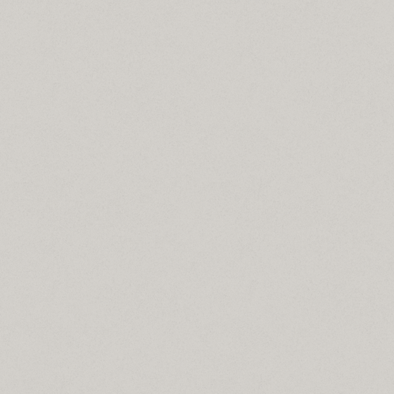 Light Grey Wall Paint 3D Model for Modern Interiors