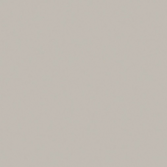 Elegant Gray Sand Wall Paint for Modern Interiors