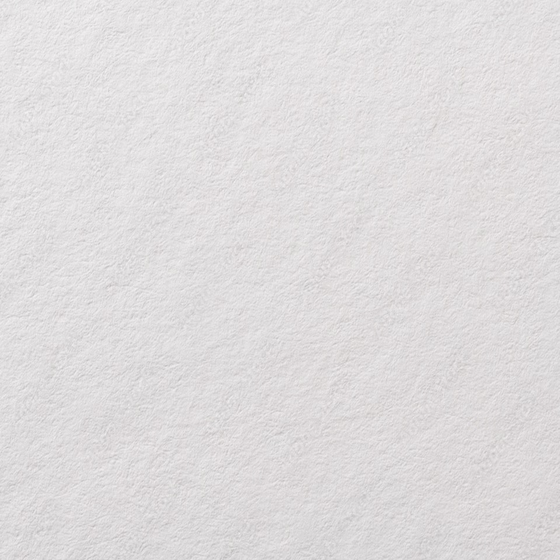 Conc Wall Paint 3D Model for Modern Interiors