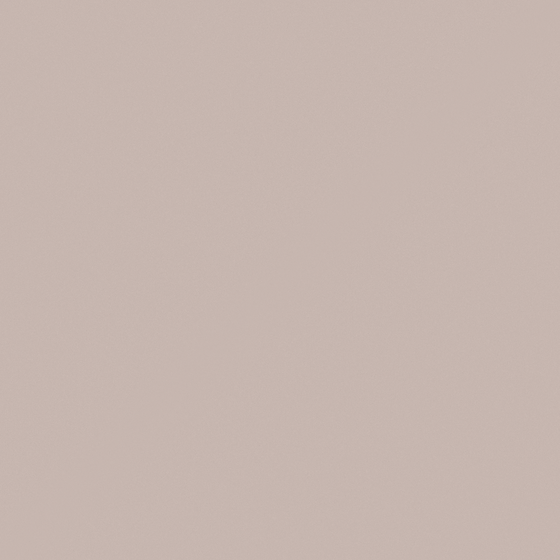Pink Drab Wall Paint 3D Model