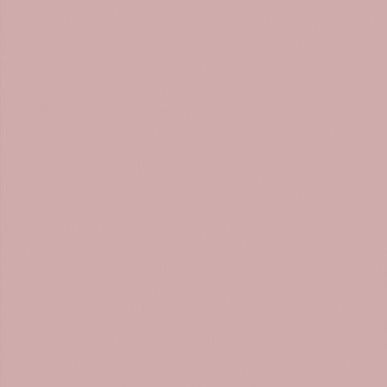 Dusty Rose Google Search Wall Paint 3D Model