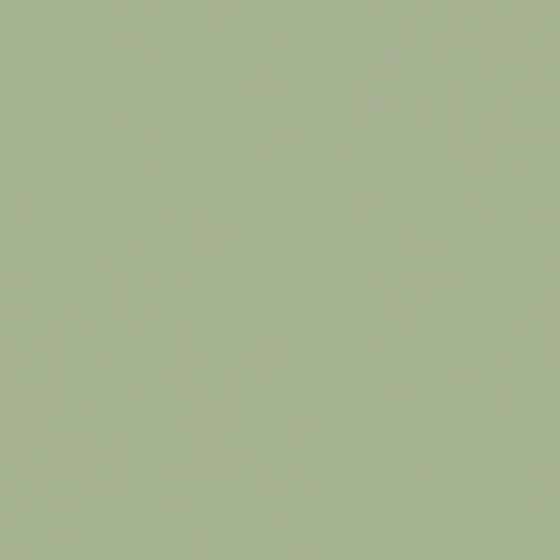 Wall Paint 3D Model in Verde