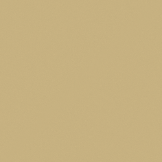 Barley Grass Wall Paint 3D Model in Calming Tones
