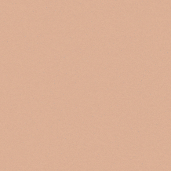 Wall Paint 3D Model in Various Finishes