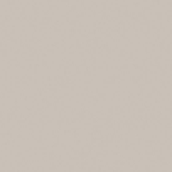 TANA Warm Grey Paint 3D Model