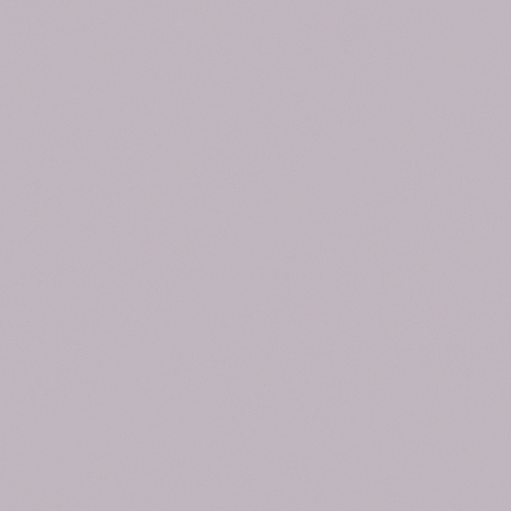 Silver Mauve Paint 3D Model