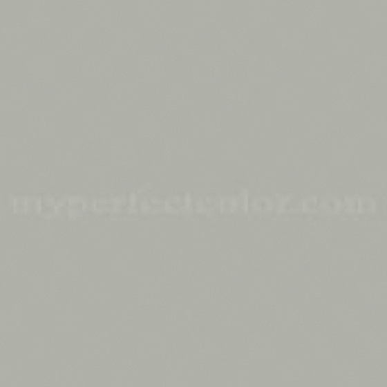 Wall Paint 3D Model for Vibrant Decor