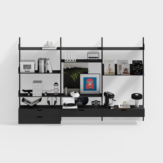 Modern wall mounted combination bookshelf