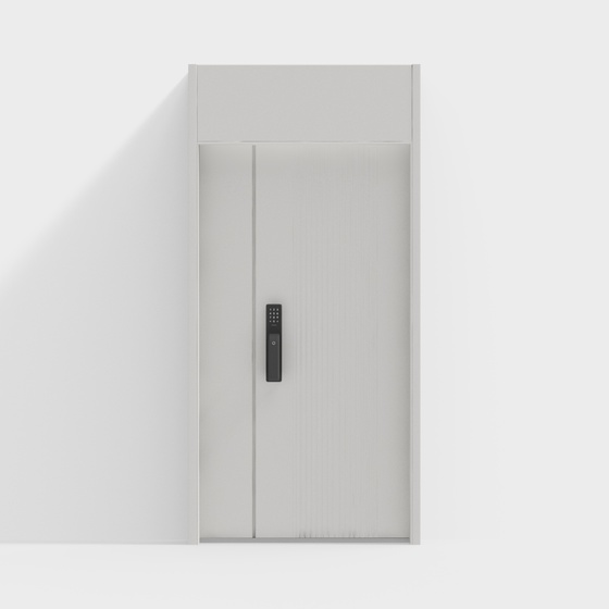 Modern entry door security door