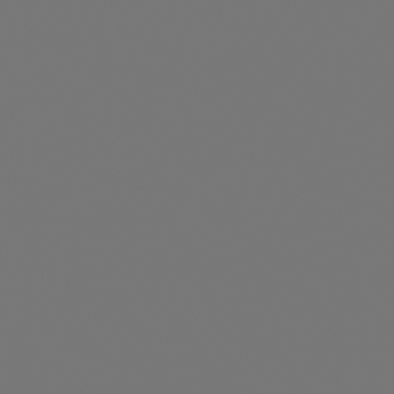 Carta Elephant Gray CX0305DM Wall Paint