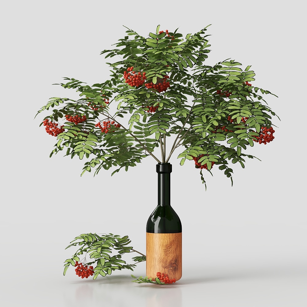 绿植花卉