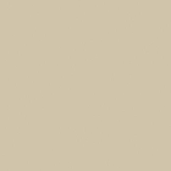 Humble Yellow Wall Paint 3D Model