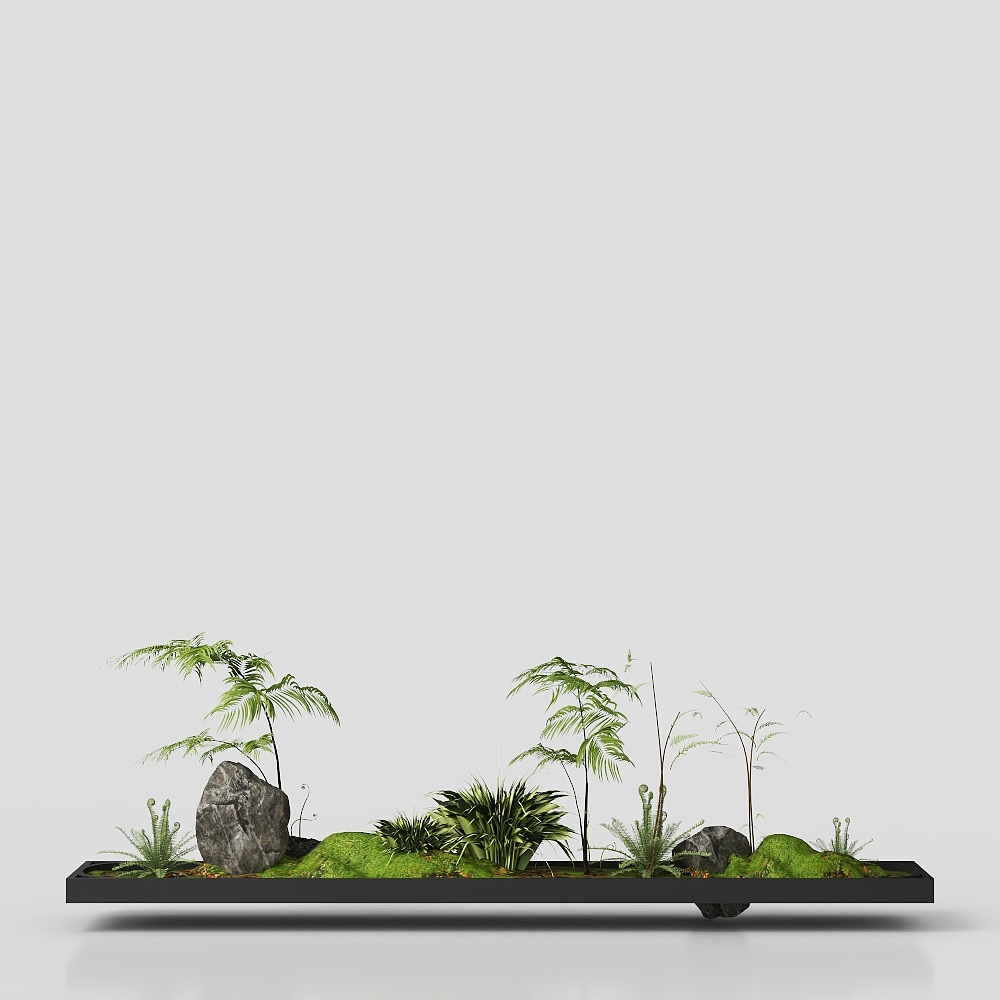 小景观绿植12