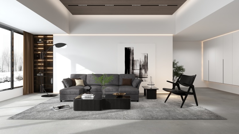 Minimalist Living Room with Black & White Tone