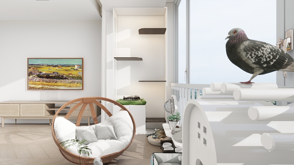 小雷Ujtj-宠物阳台-装修设计方案