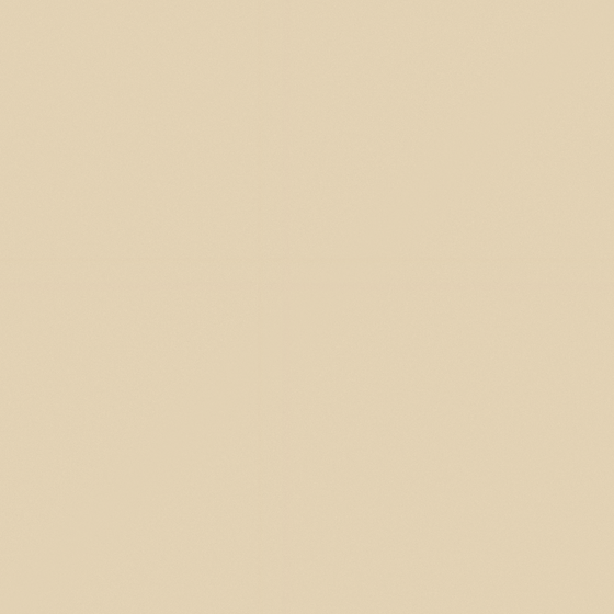 Classic Rail Ivory 1015 Wall Paint