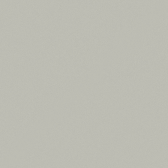 Light Grey Wall Paint 3D Model