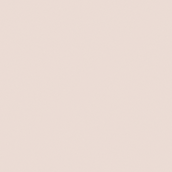 NCS S 1010-Y80R 3D Wall Paint Model