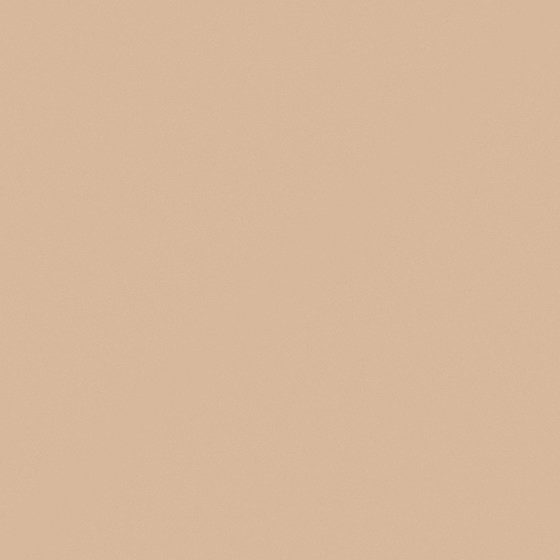 Faded Terracotta Wall Paint 3D Model