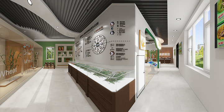 二白c-水稻1-装修设计方案