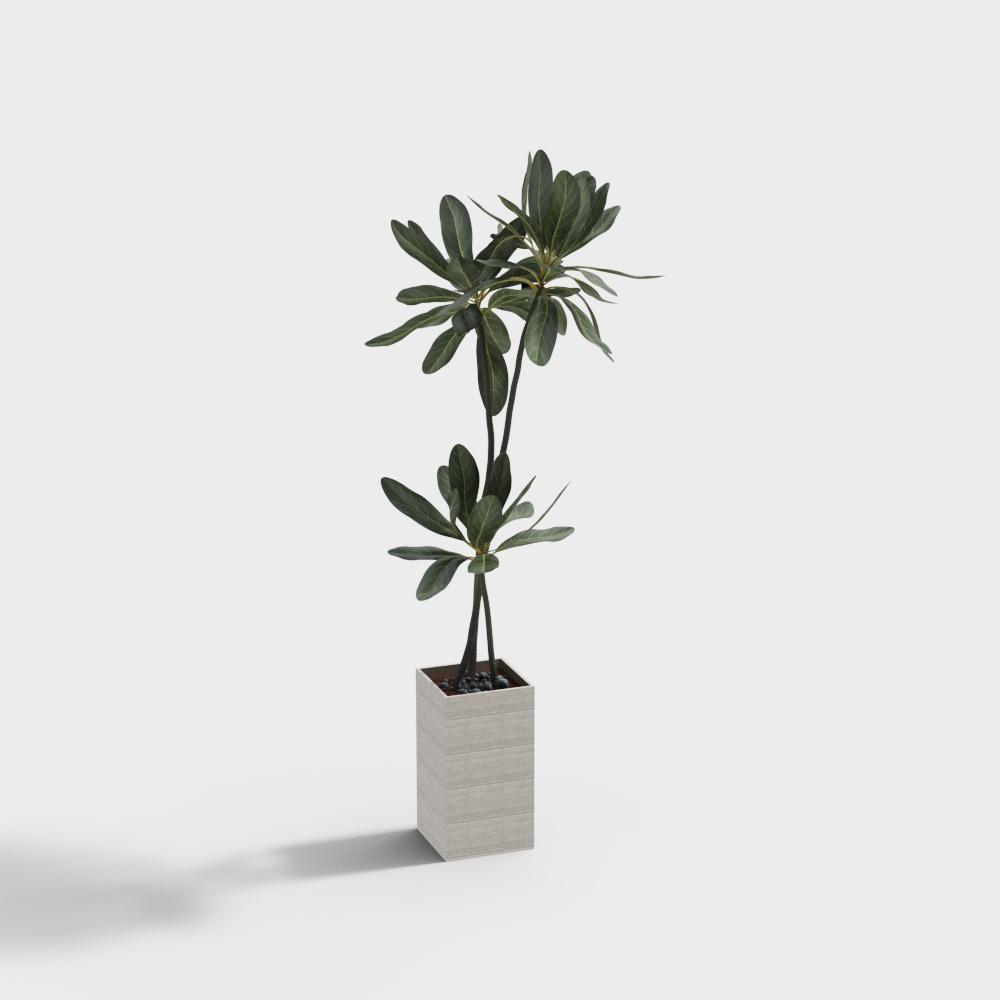 绿植摆件