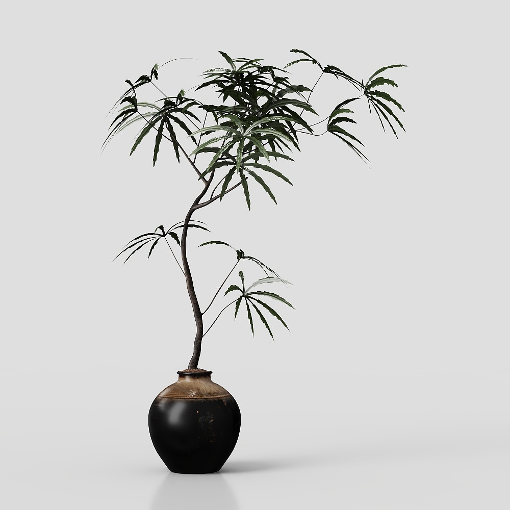 现代客厅植物千年木